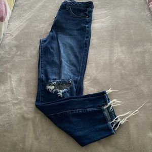 KUT from Kloth Jeans